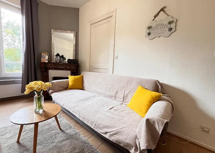 E - La Bulle De Champagne T3 Proche Centre-ville Apartment